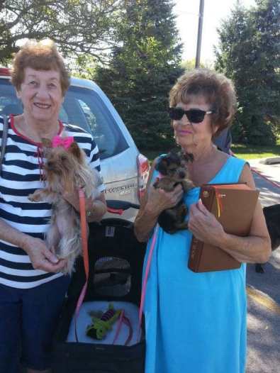 Pet Blessing Sunday Mokena