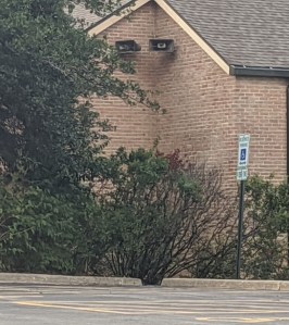 st. mary bell speakers